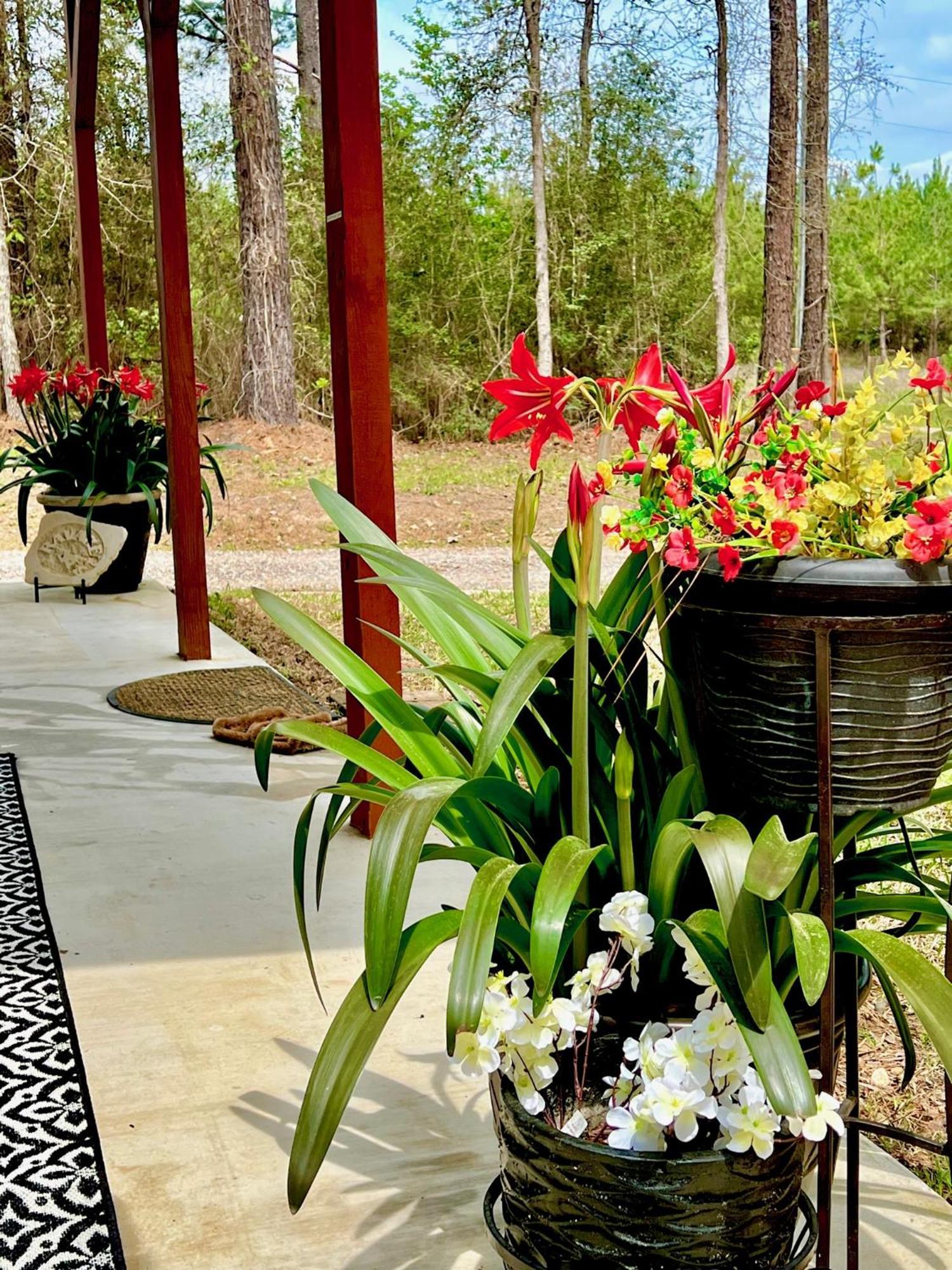A Tranquil Retreat Loaded With Ambiance! Sleeps 10 Villa Platt Exterior photo